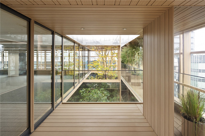 打破單調與冷淡  空中森林主題寫字樓裝修設計方案