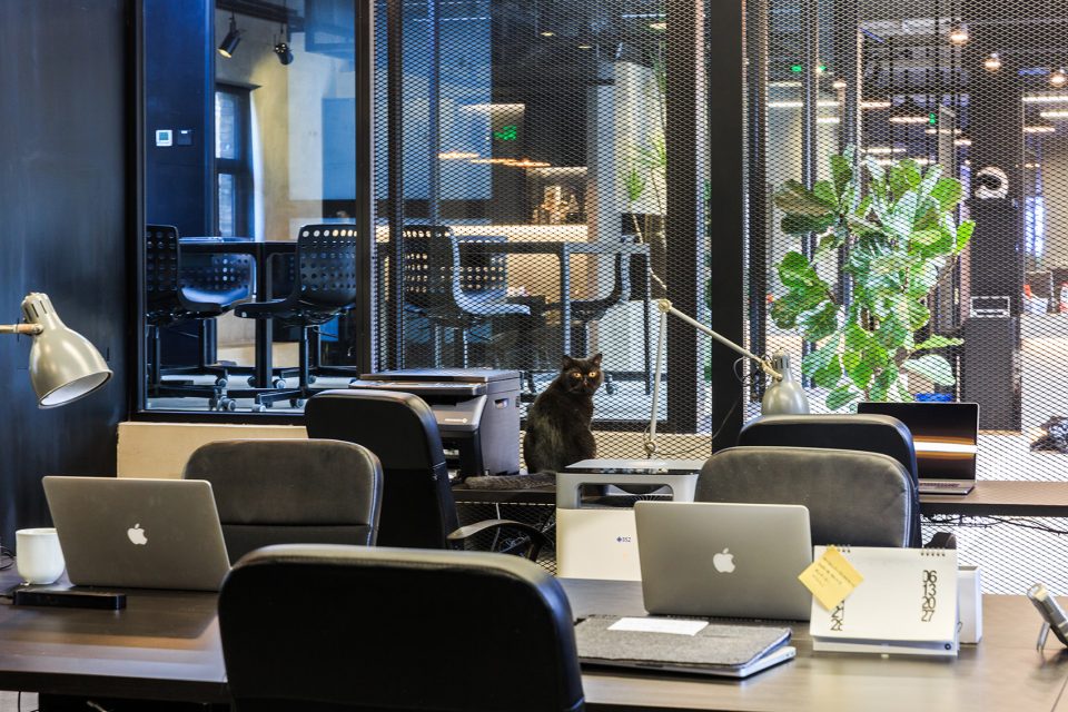 辦公室辦公區裝修 辦公室辦公區裝修