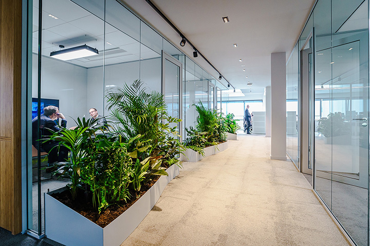 舊車庫改造成創新可持續總部辦公樓裝修設計實景圖