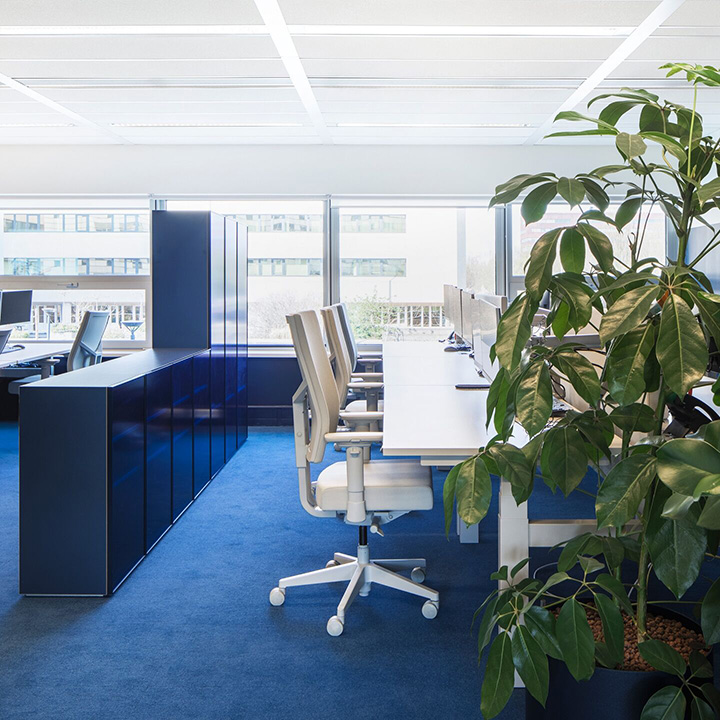 Aidsfonds如彩虹般絢爛的時尚辦公室敞開辦公區裝修設計案例