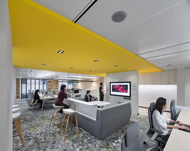 600平清新簡約風生物制藥公司辦公室裝修設計方案