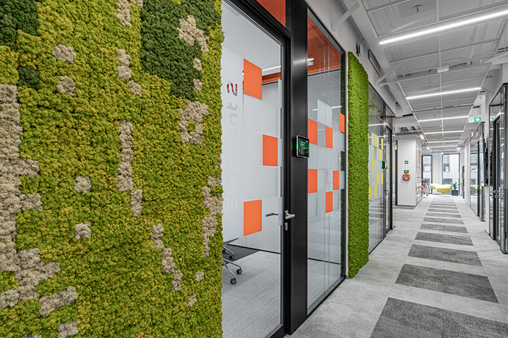 鄭州辦公室裝修玩轉色彩 涂料公司創意辦公室走廊裝修方案 鄭州辦公室裝修玩轉色彩 涂料公司創意辦公室走廊裝修方案